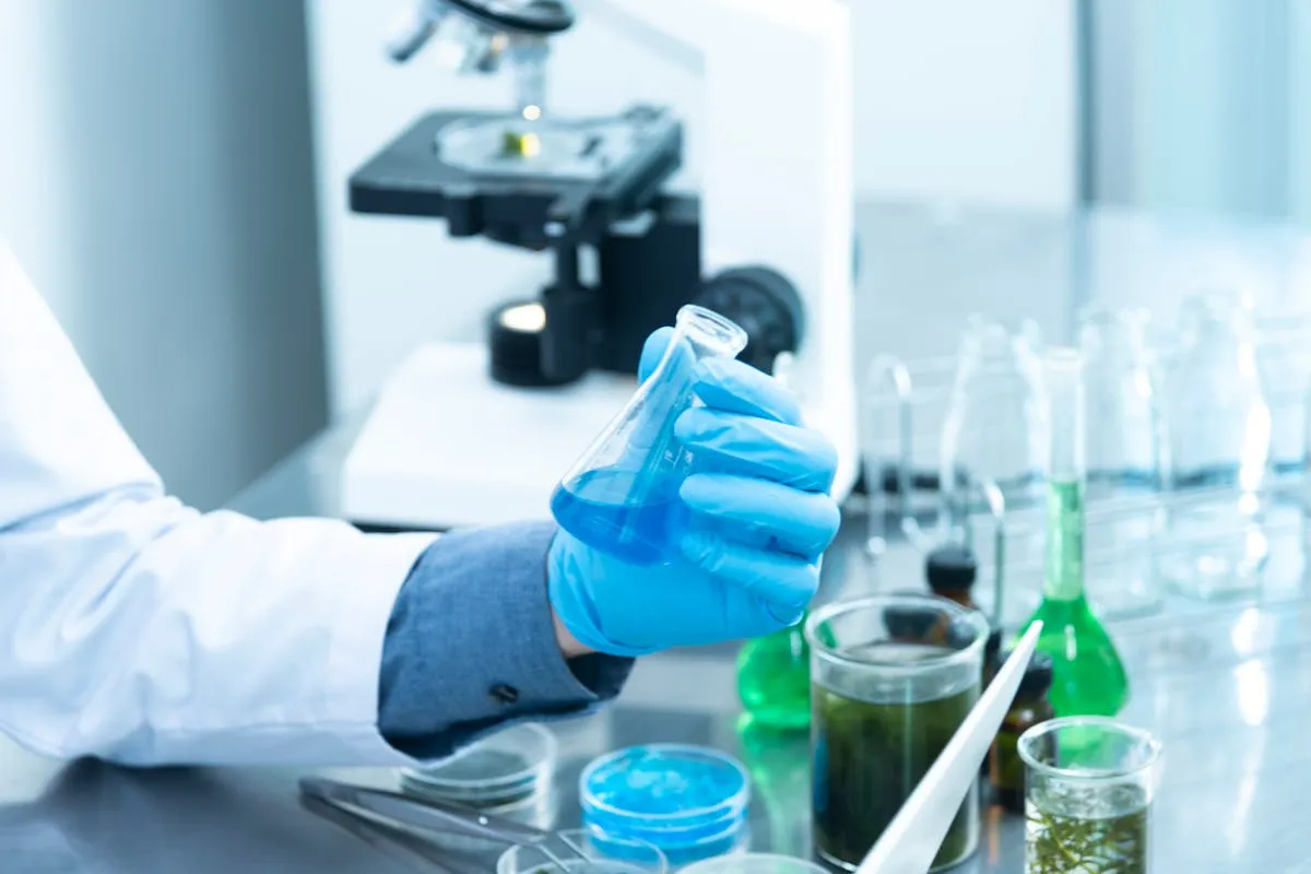 Exame toxicológico