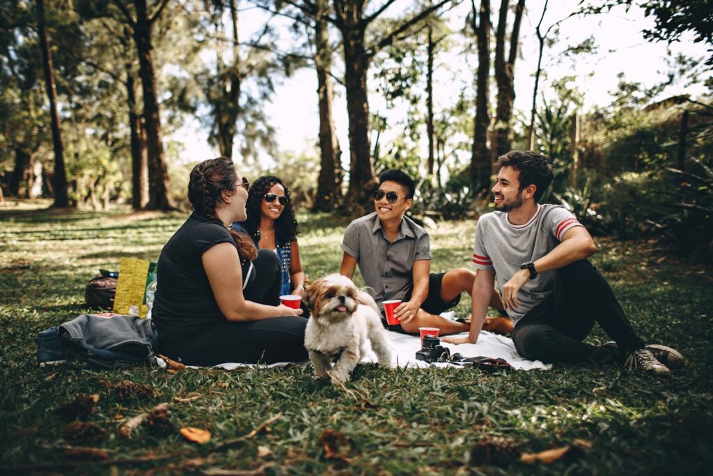 Grupo de amigos em parque, sentados